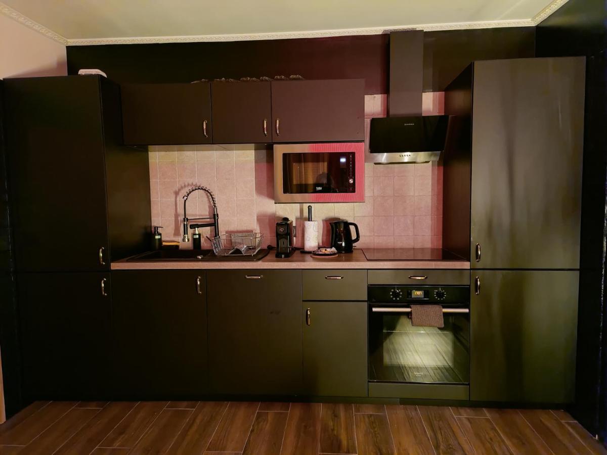 La Loveroom Bdsm De Nice " La Chambre Luxe Des Desirs " Exterior foto